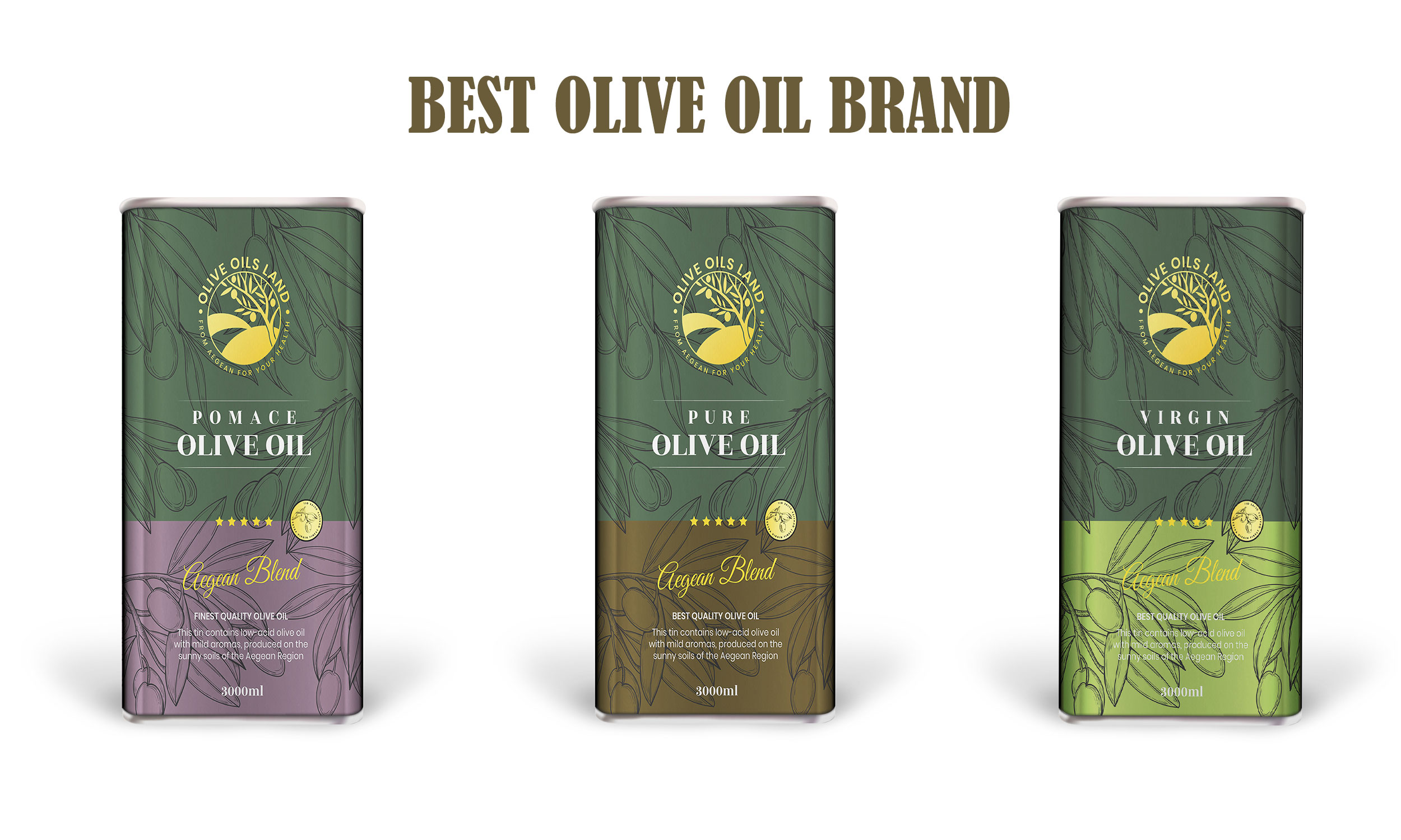 Best Olive Oil Brand